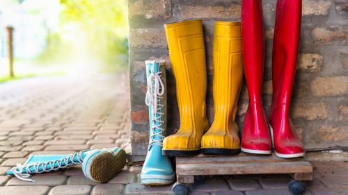 Gummistiefel by Dejan Dundjerski shutterstock 1113946670 500x281