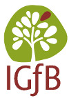 IGfB-Logo